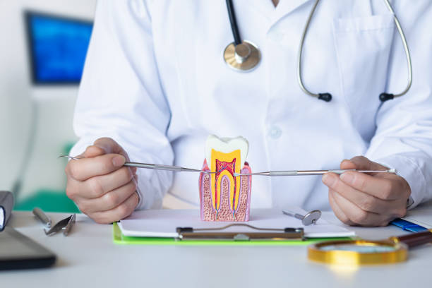 Best Urgent Care for Lost Fillings or Crowns in Scott Af, IL